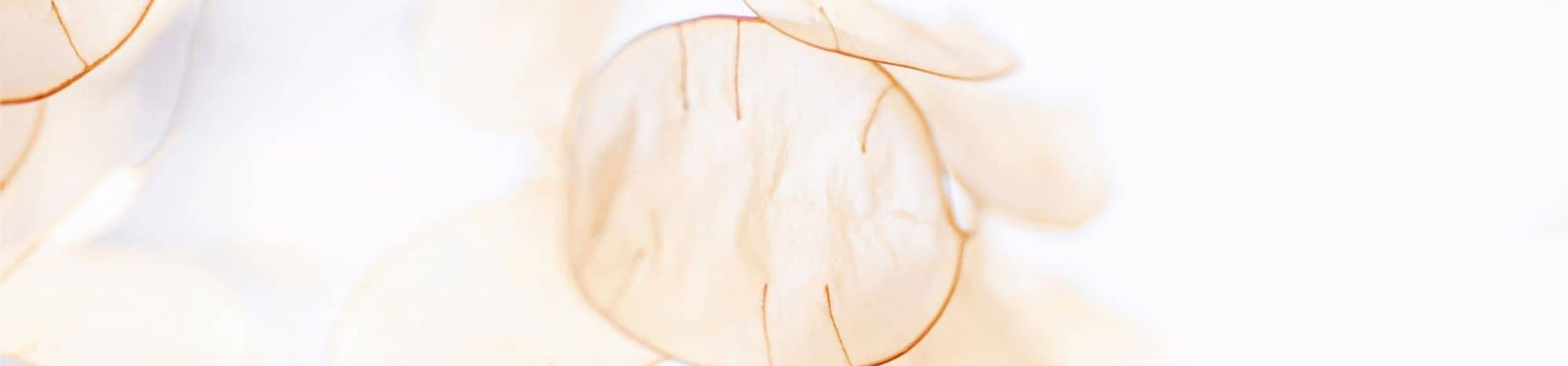 dermatological background